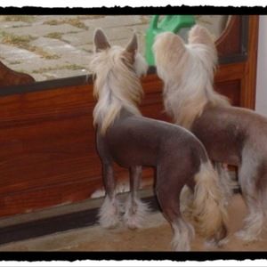 Meet your Posher, Jody